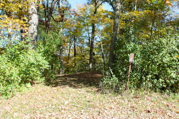 Picture of site 30